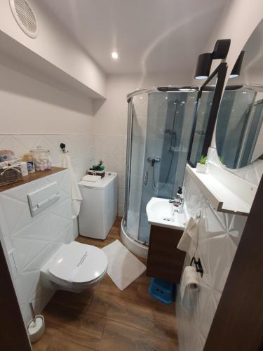 uma casa de banho com um chuveiro, um WC e um lavatório. em Apartament Przy Ratuszu em Malbork