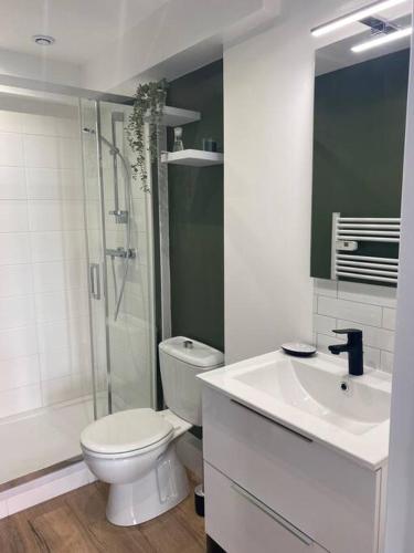 een badkamer met een toilet, een wastafel en een douche bij Appartement bord de mer in Wimereux