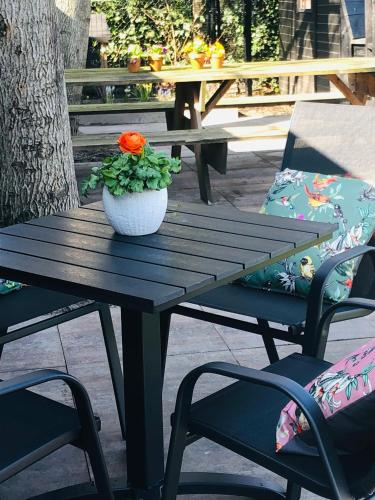a wooden picnic table with a flower pot on it at B &B Yuupke Maasbree Noord-Limburg Venlo Roermond in Maasbree