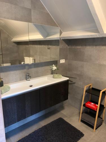 een badkamer met een wastafel en een spiegel bij De Kempische Akker in Westerlo
