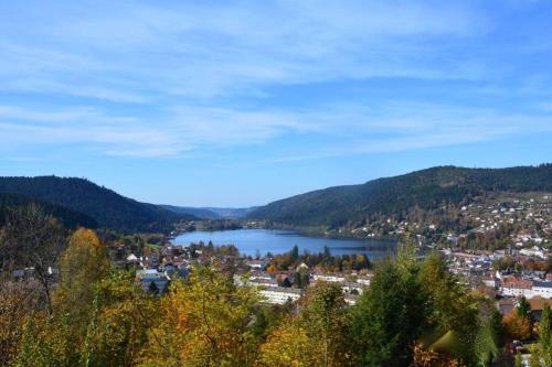Chalet l'OURSON à Gérardmer, vue imprenable lac