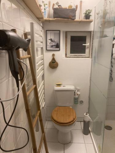 une petite salle de bain avec toilettes et douche dans l'établissement chambre privée dans maison drômoise - viarhona - autoroute - jacuzzi à réserver en supplément, à Châteauneuf-du-Rhône