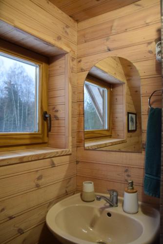 een badkamer met een wastafel en een spiegel in een blokhut bij Lazdkalni in Ķimale