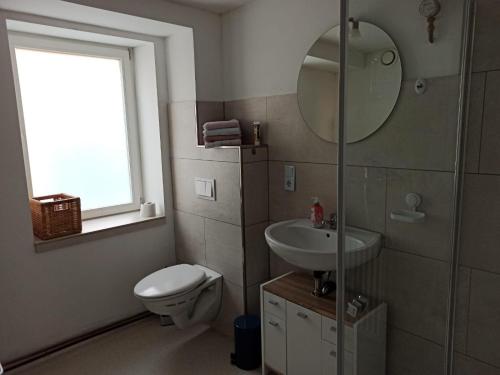 a bathroom with a toilet and a sink and a mirror at Ferienwohnung Baunatal - ruhiges Apartment am Ende einer Sackgasse in Baunatal