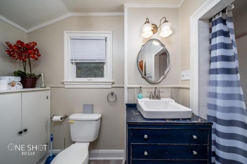 a bathroom with a sink and a toilet and a mirror at Garage apartment 5 min from Downtown in Abilene