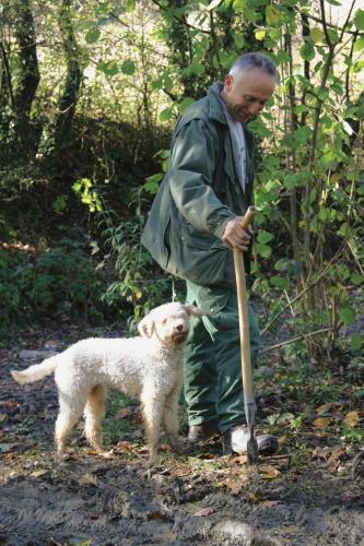 a man holding a stick and a white dog at Locanda Amerigo in Savigno