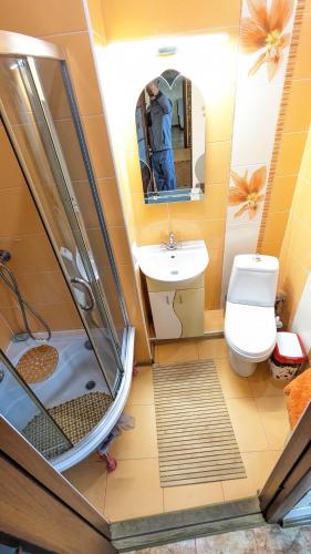a bathroom with a shower and a toilet and a sink at TownHouse Euro жд вокзал, фонтан, чеки ПРРО in Vinnytsya