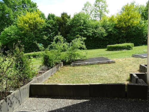 a backyard with a garden with grass and bushes at Geschäfts- und Ferienwohnung 111 in Bad Urach