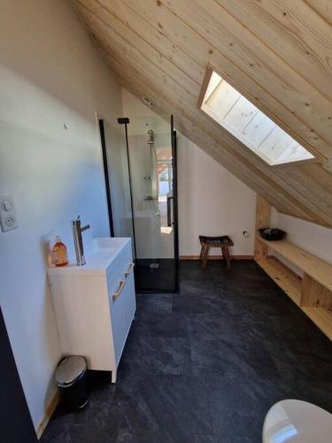 La salle de bains mansardée est pourvue d'un lavabo et de toilettes. dans l'établissement Gîte Laruns 2-4 personnes Le Repaire Montagnard, à Laruns