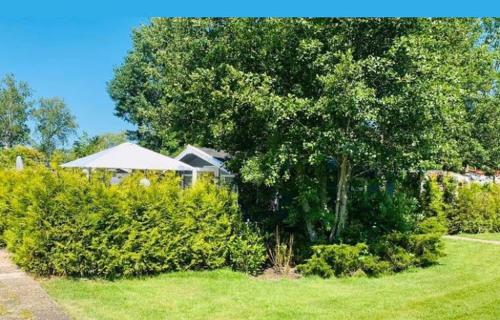 een boom in een tuin met een witte paraplu bij Mingo Hideout in Matsloot