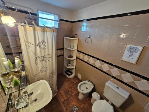 a bathroom with a sink and a toilet and a shower at Departamento Nieves in Esquel