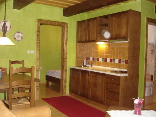 cocina con paredes verdes, mesa y fregadero en Apartmaji Žolnir, en Kostanjevica na Krki