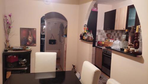 a kitchen with a table and chairs in a room at Apartman ANIKA in Pirot