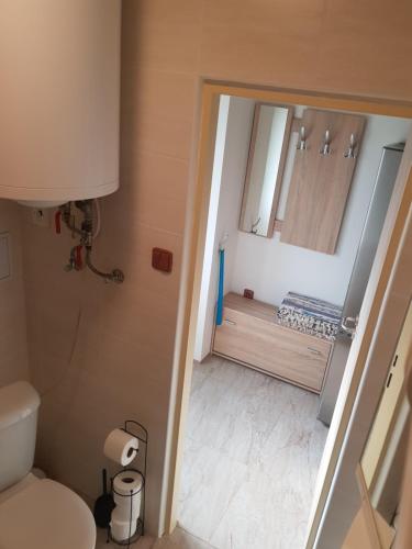 Koupelna v ubytování Apartmán ANNA s vinným sklepem Pouzdřany