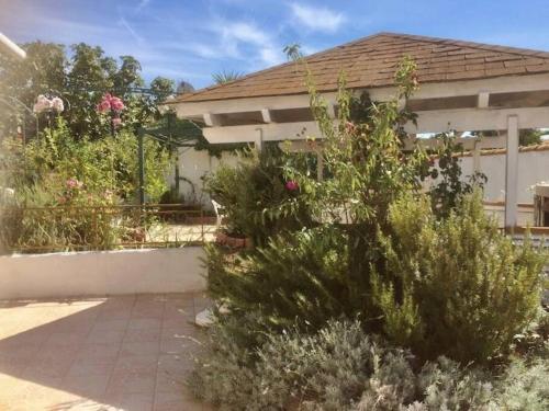 Fotografia z galérie ubytovania Superbe appartement en résidence avec patio v destinácii Villeneuve-lès-Maguelonne