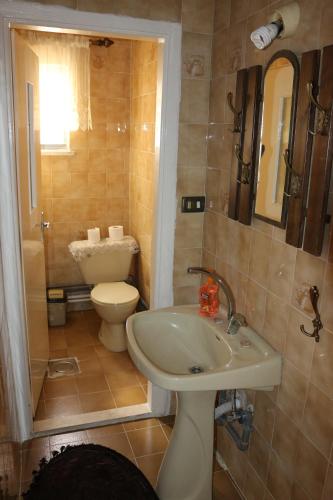 a small bathroom with a toilet and a sink at Alice & Andrew Apt. Few Steps to Madaba Old City Center in Madaba