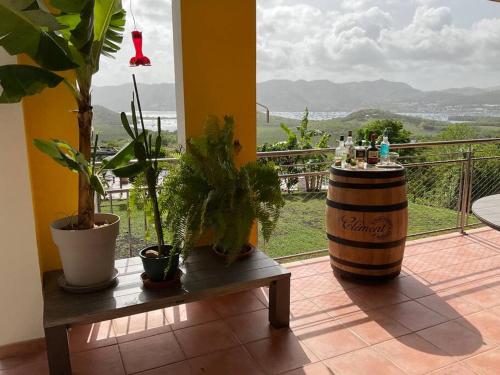 a room with a barrel and potted plants on a balcony at BAS DE VILLA PISCINE PETIT VERSAILLES SAINTE ANNE in Sainte-Anne