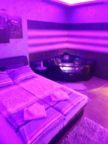 a bedroom with a bed and a tub with pink lights at Ceca Apartman in Niš