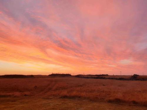 a sunset in the middle of a field at Hótel Hafnir in Hafnir