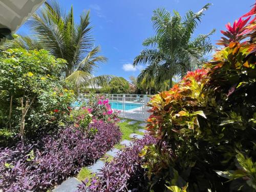 a garden with colorful flowers and a swimming pool at Hôtel & Villa Le Cocotel in Saint-François