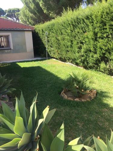 een tuin met enkele planten in het gras bij Tranquil apartment in Chiclana La Barrosa in Chiclana de la Frontera