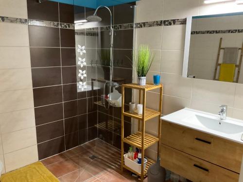 a bathroom with a shower with a sink and a mirror at BAS DE VILLA PISCINE PETIT VERSAILLES SAINTE ANNE in Sainte-Anne