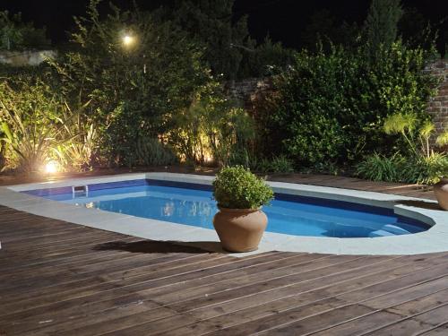 una pianta in vaso seduta accanto a una piscina di notte di Hotel Las Calas a Paso de los Toros