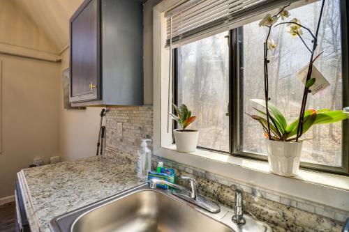 un lavello da cucina con due piante in vaso in una finestra di Quiet East Stroudsburg Home with Grill and Fireplace! a East Stroudsburg