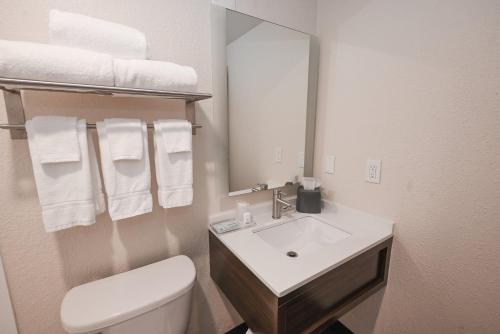 a bathroom with a sink and a toilet and a mirror at Holiday Inn Cleveland-Mayfield, an IHG Hotel in Mayfield