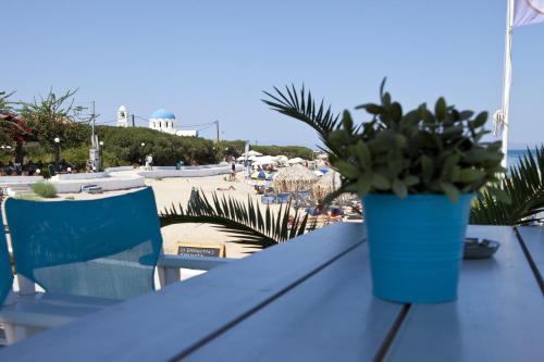 a blue table with a potted plant sitting on top of it at Oasis Beach Hotel in Skala