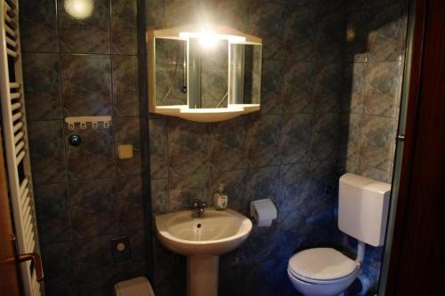 馬科帕伊的住宿－Apartments with a parking space Mrkopalj, Gorski kotar - 20714，一间带水槽、卫生间和镜子的浴室