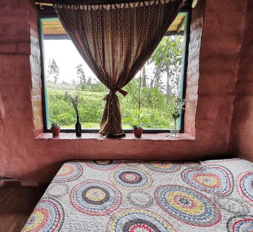 a bed in a room with a window with a curtain at Uchilla Wasi - Casa Suaya La Esperanza in Ibarra