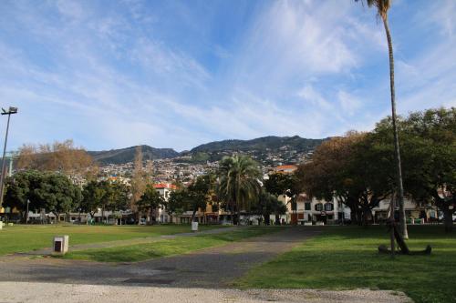 a park with a palm tree and a city at Alexia Room in Funchal