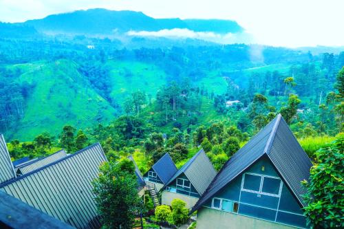 a group of houses in a valley with mountains at Hummingbird St.Clare Villas in Dimbula