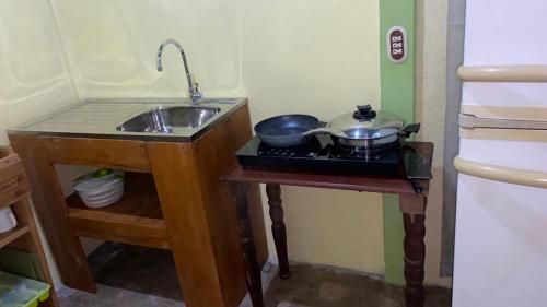 una cocina con fregadero y 2 sartenes en una encimera en Casa Rural Aralia, en Fortuna