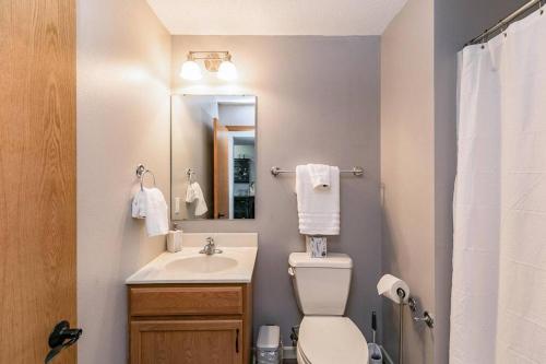 a bathroom with a toilet and a sink and a mirror at Cozy Modern Newbo Area Home in Cedar Rapids