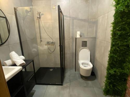 uma casa de banho com um chuveiro, um WC e um lavatório. em Penthouse for 4 people with sea view em Dziwnówek