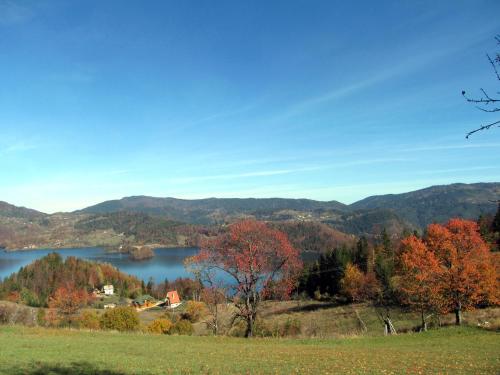 a view of a lake in the fall at Konaci Zaovljanska jezera in Zaovine