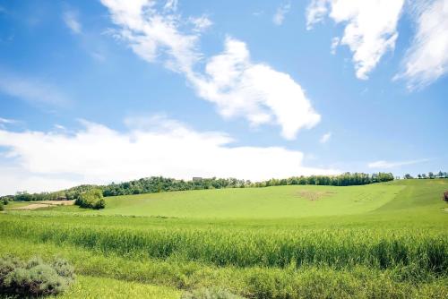 a green field with a blue sky and clouds at Villetta rosso Rubino in Vignale Monferrato