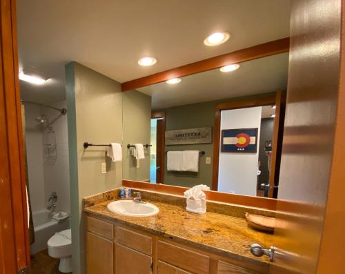 a bathroom with a sink and a mirror at Argentine 1507 in Keystone