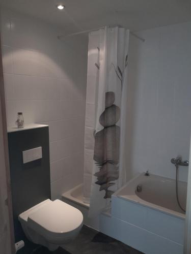 a bathroom with a toilet and a shower and a tub at Willkommen in Weisenheim am Sand in Weisenheim am Sand