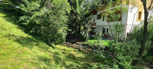 a house on the side of a hill with trees at Arnica Montana in Arieşeni