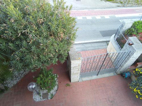 Zahrada ubytování Appartamento Loretta