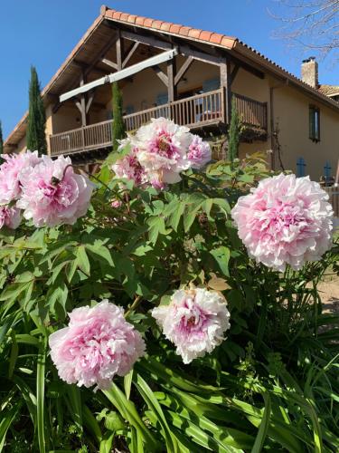 a bunch of pink flowers in front of a house at Lauberge de Nogaro in Caupenne-dʼArmagnac