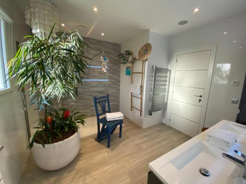 une chambre avec une plante et une chaise dans l'établissement Escapades Lointaines, à Perpignan