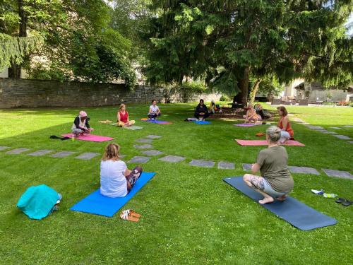 a group of people doing yoga in the grass at Cuore Alpino in Olivone