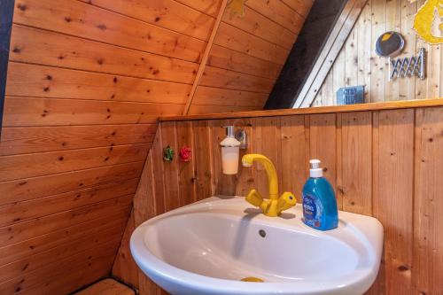 een badkamer met een wastafel in een houten muur bij 50159 Ferienhaus Catharina in Carolinensiel