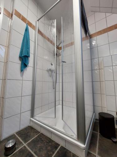 a shower with a glass door in a bathroom at Trekvogels Utkiek in Dornum