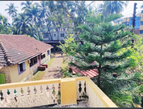 a pine tree on the balcony of a house at NISARG HOME STAY near Bus Stand Malvan in Malvan