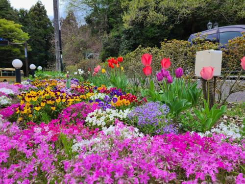 Vrt pred nastanitvijo Flower Villa Sagamiko